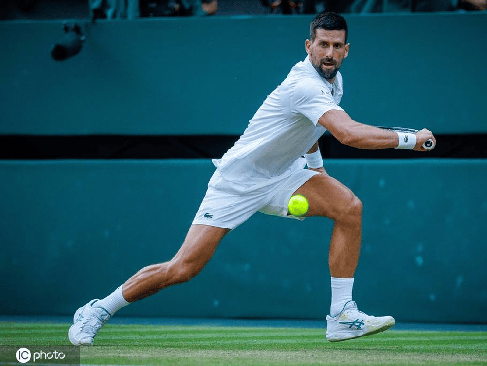 温网翻盘拉沃尔杯，德约科维奇关键制胜