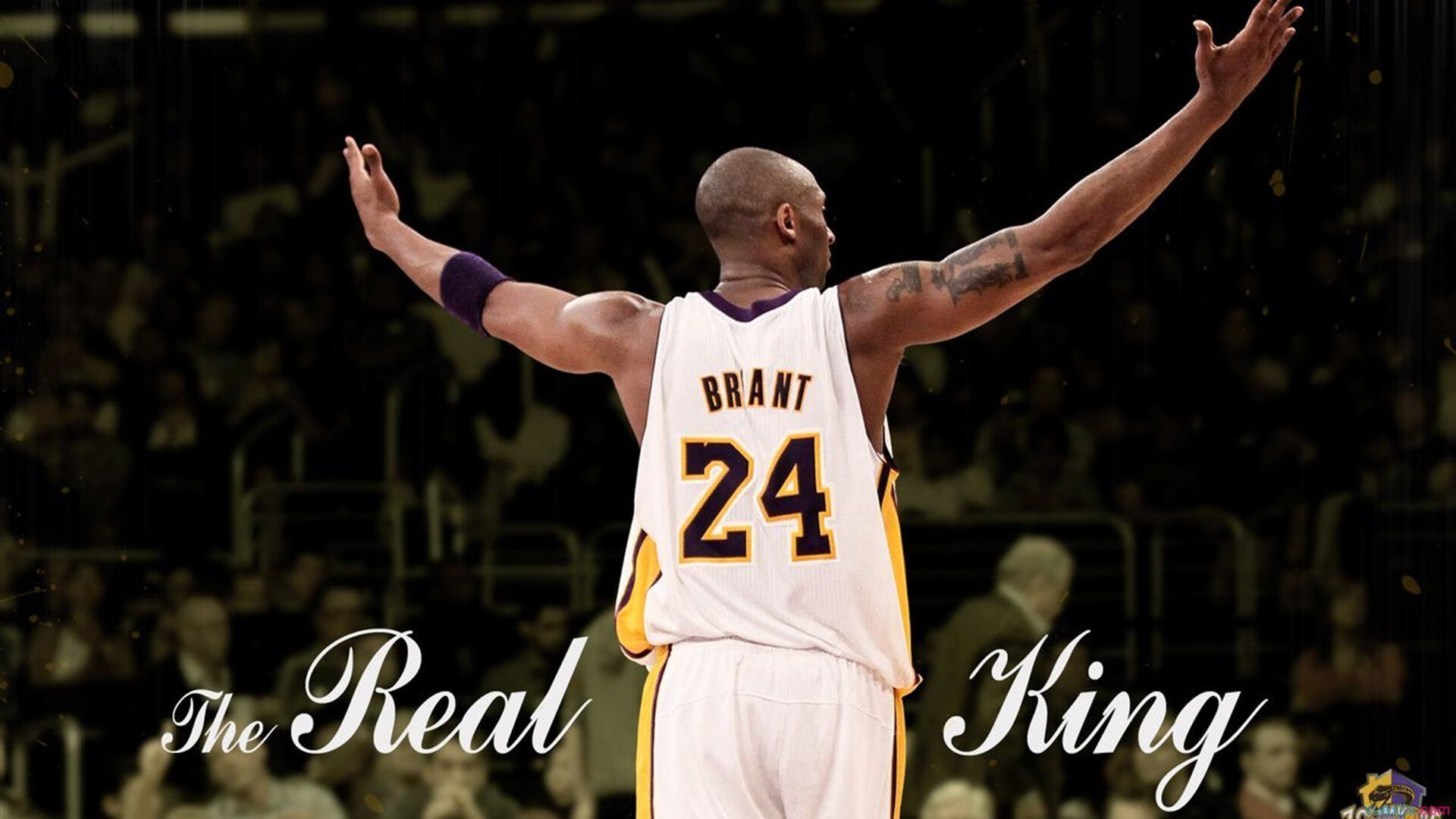 武切维奇的铁血统治，雄鹿争冠路上最锋利的矛与最坚固的盾